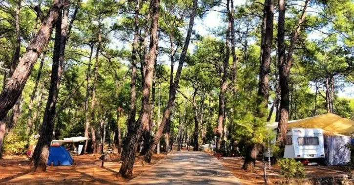 Gökova Forest Camp — Muğla — küçük resim 8