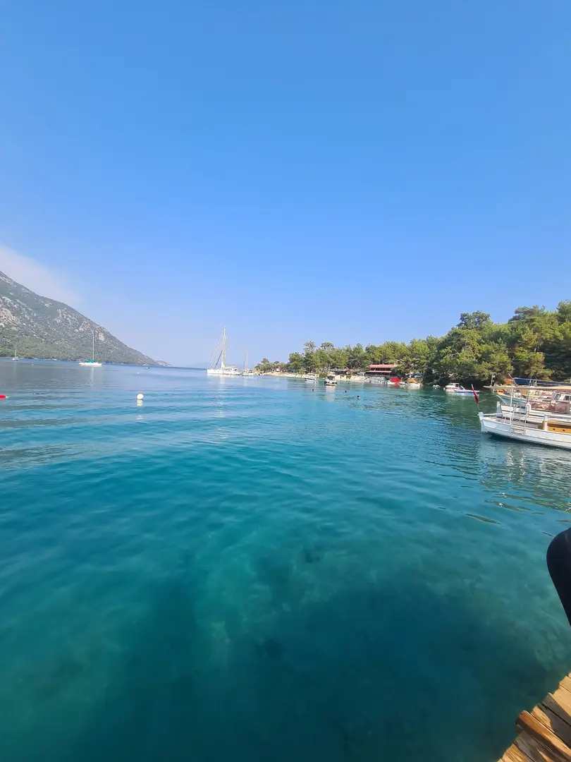 Gökova Forest Camp — Muğla — küçük resim 5