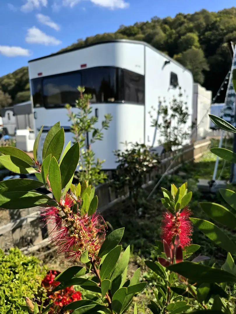 Güney Karavan