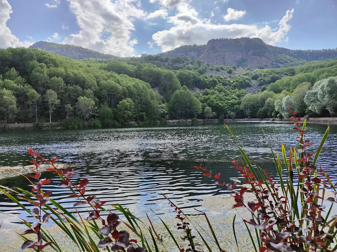 Karagöl Tabiat Parkı — Ankara — küçük resim 8
