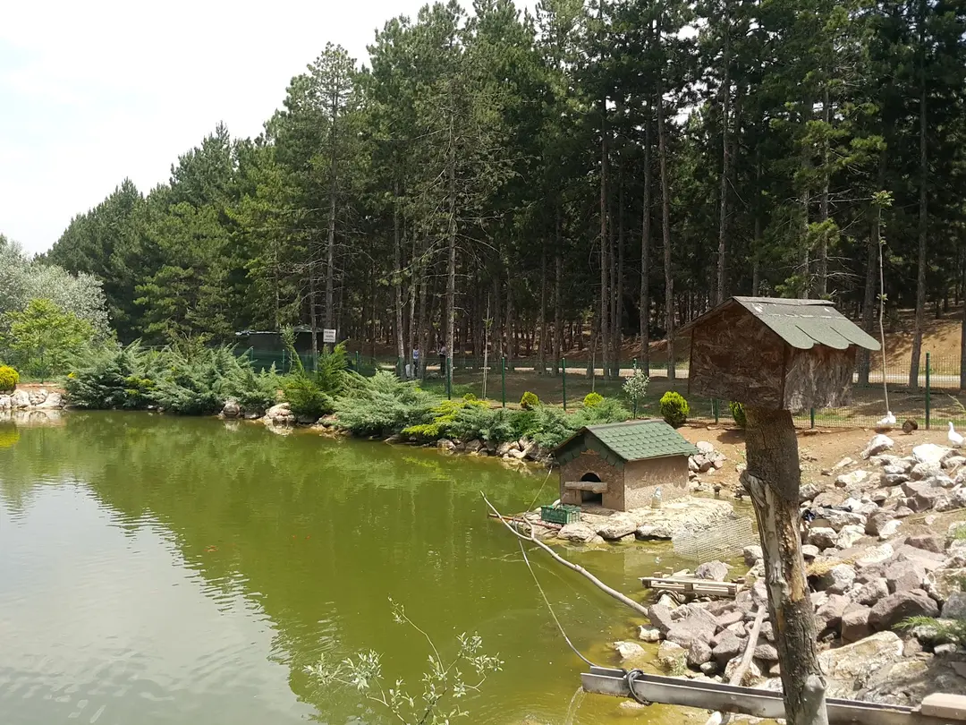 bigCamp — Ankara — küçük resim 6