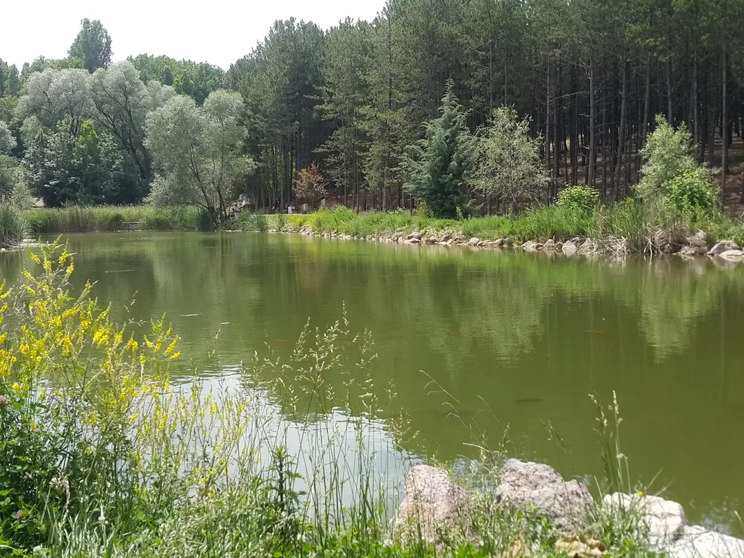 bigCamp — Ankara — küçük resim 7