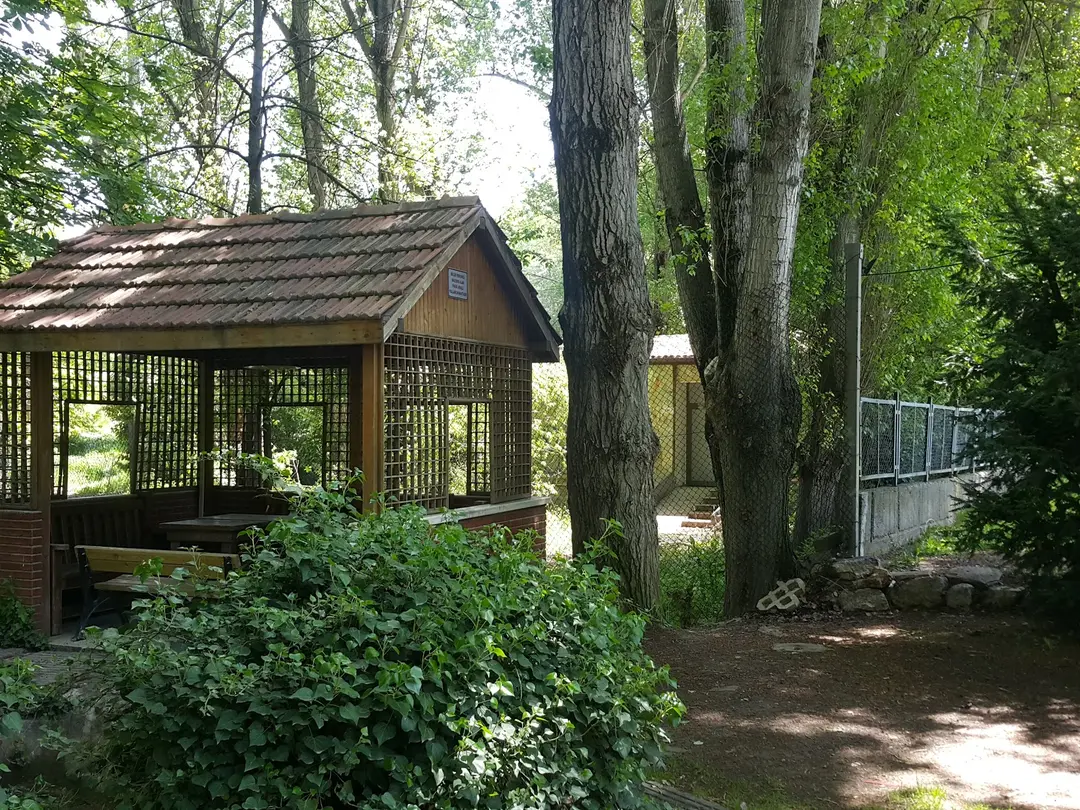 bigCamp — Ankara — küçük resim 2