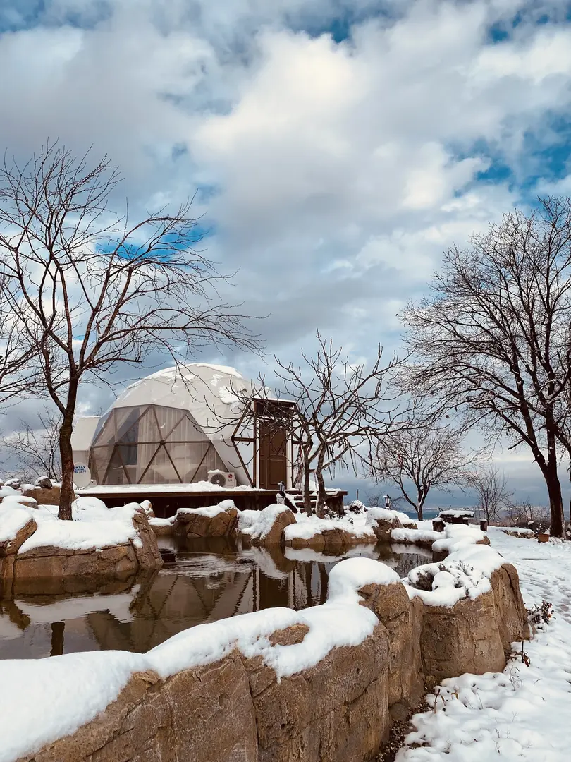 Phalesia / Falesya Glamping Otel — Sakarya — küçük resim 4
