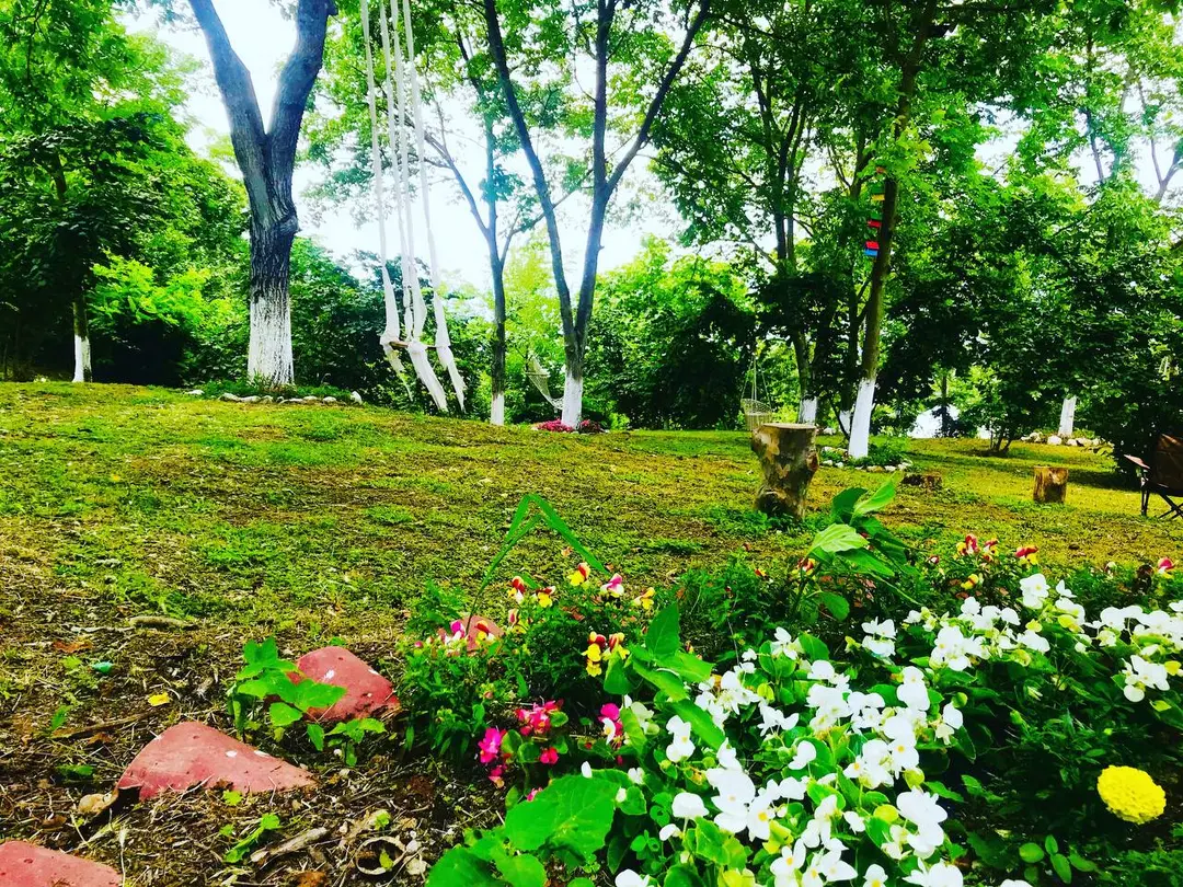Phalesia / Falesya Glamping Otel — Sakarya — küçük resim 6