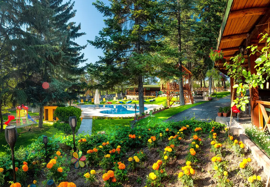 Ayfi FARM — Ankara — küçük resim 4