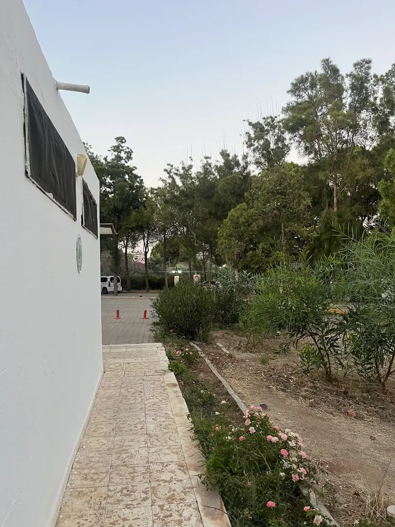 Tavşan Burnu Orman Kampı