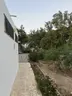 Tavşan Burnu Orman Kampı