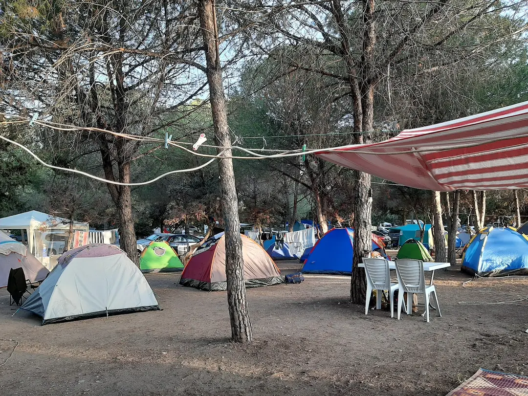 Tavşan Burnu Orman Kampı — Aydın — küçük resim 6