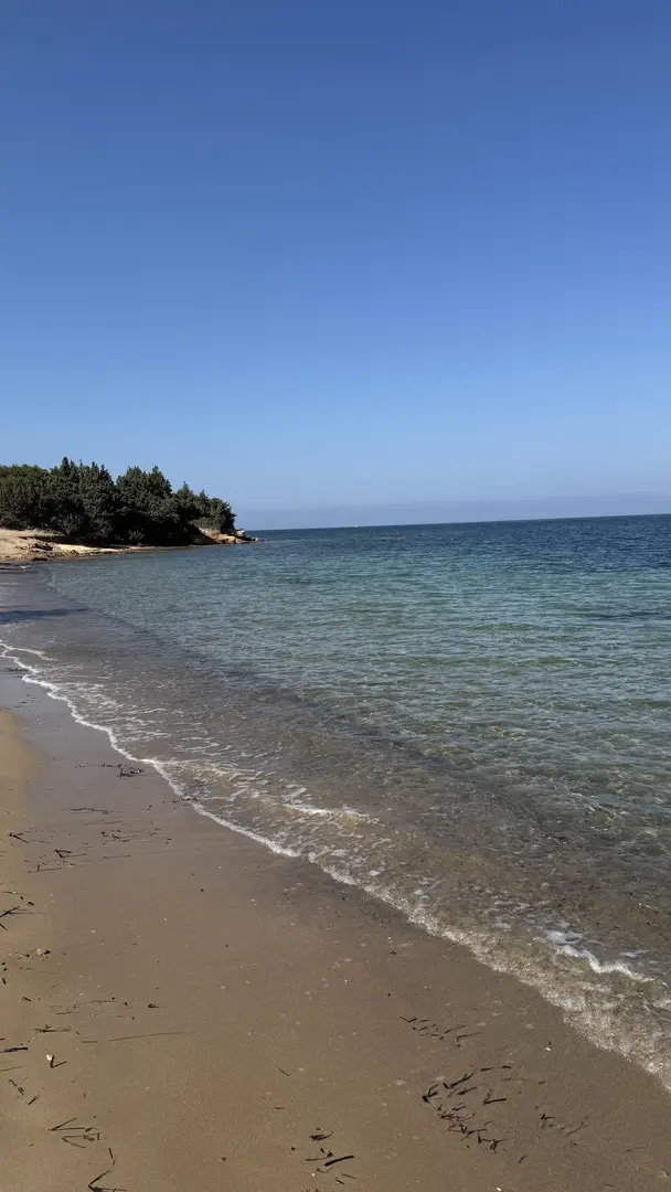 Tavşan Burnu Orman Kampı — Aydın — küçük resim 3