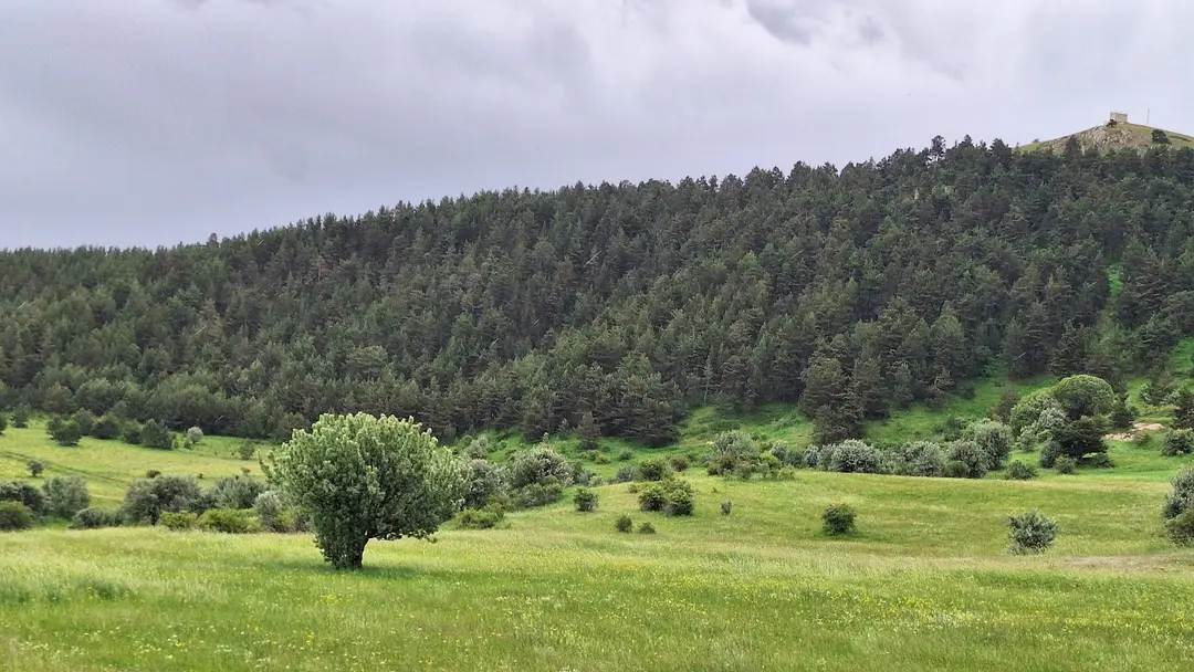 Ay Kayası Mesire Alanı — Ankara — küçük resim 5