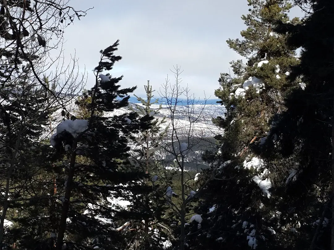 Aluçdağı Tabiat Parkı — Ankara — küçük resim 5