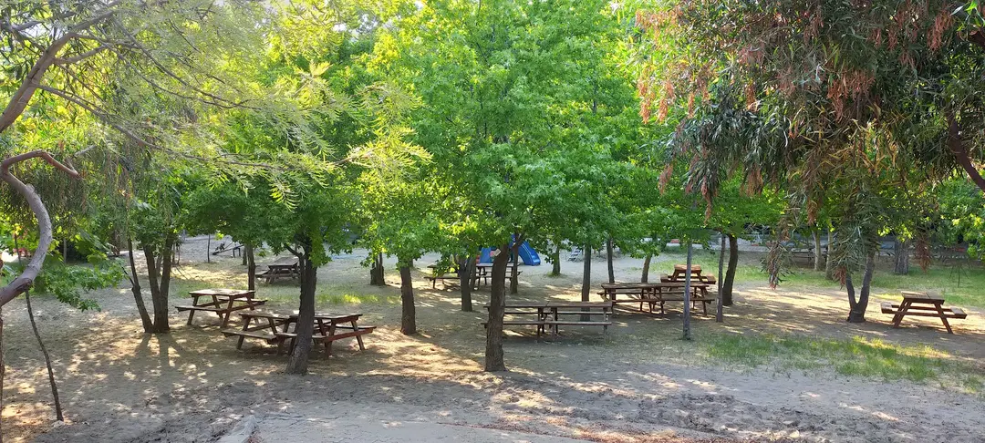 Kulak Hacılar Devlet Ormanı — Muğla — küçük resim 8