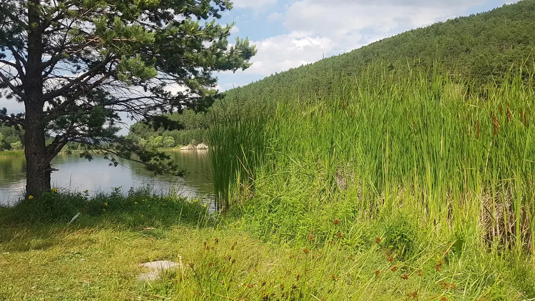 Çamkoru Göllet — Ankara — küçük resim 10