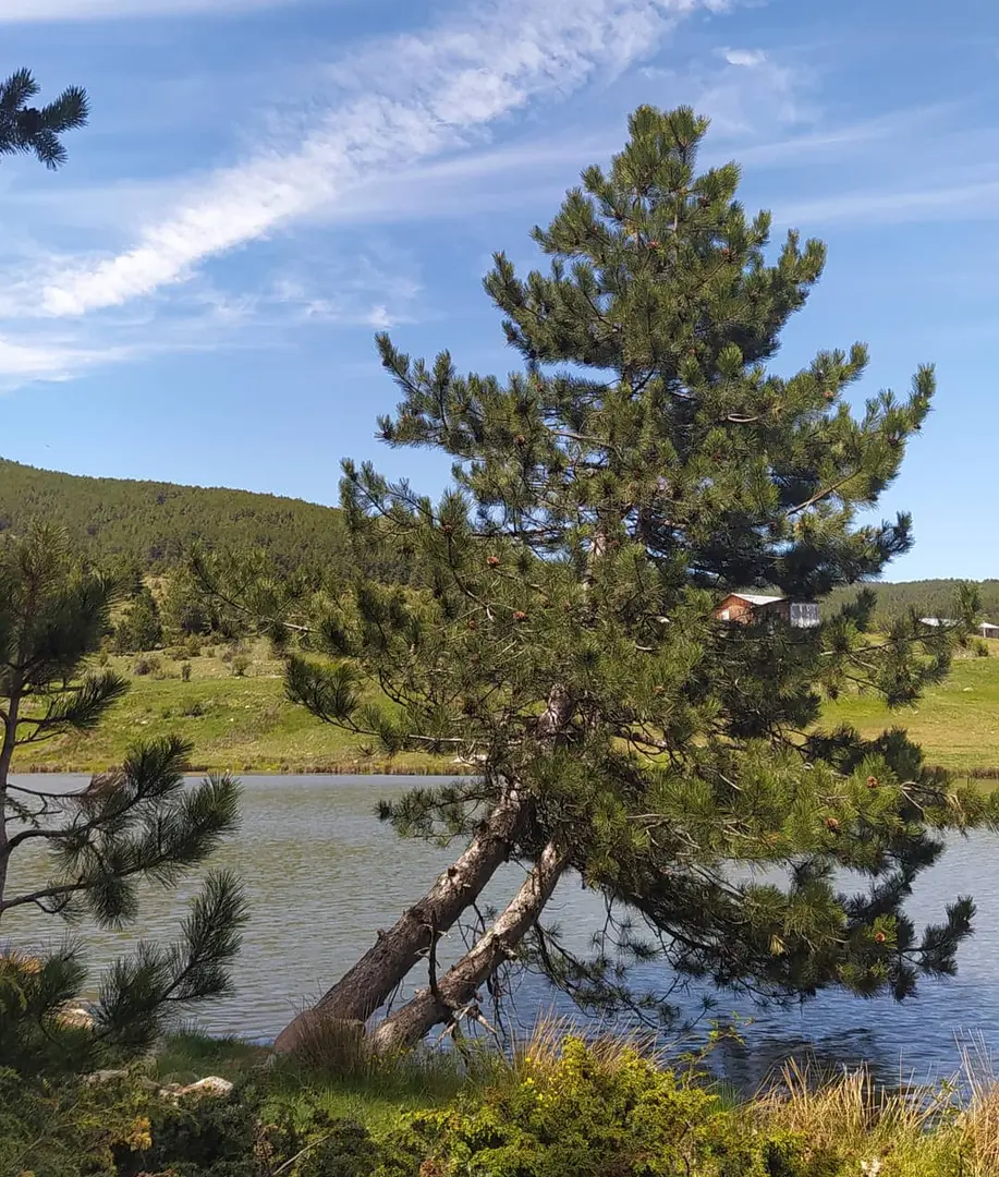 Eğriova Plateau — Ankara — küçük resim 9