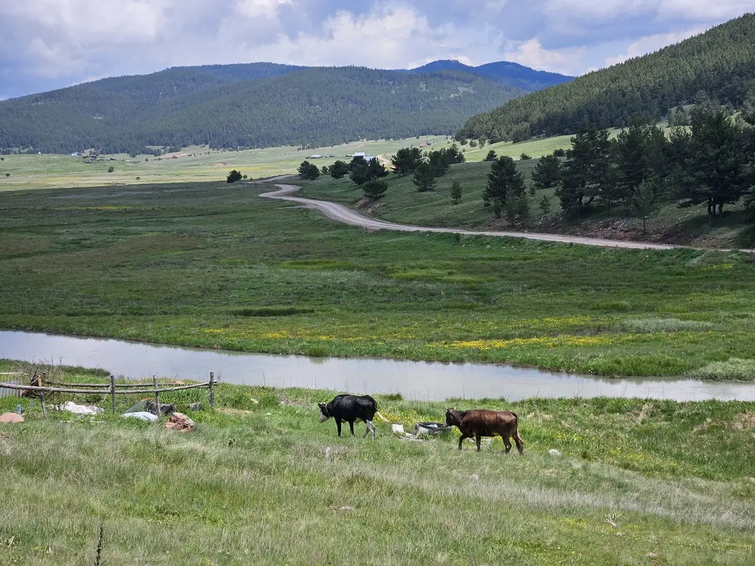Eğriova Plateau — Ankara — küçük resim 2