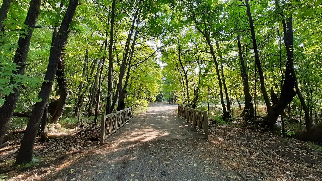 Günniçek (Marmaris Nationalpark) — Muğla — küçük resim 3
