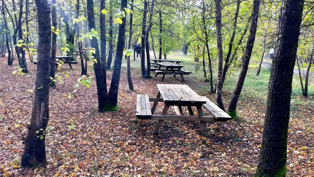 Günnücek (Marmaris Milli Parkı)