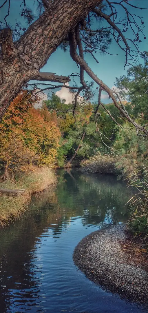 Günniçek (Marmaris Nationalpark) — Muğla — küçük resim 4