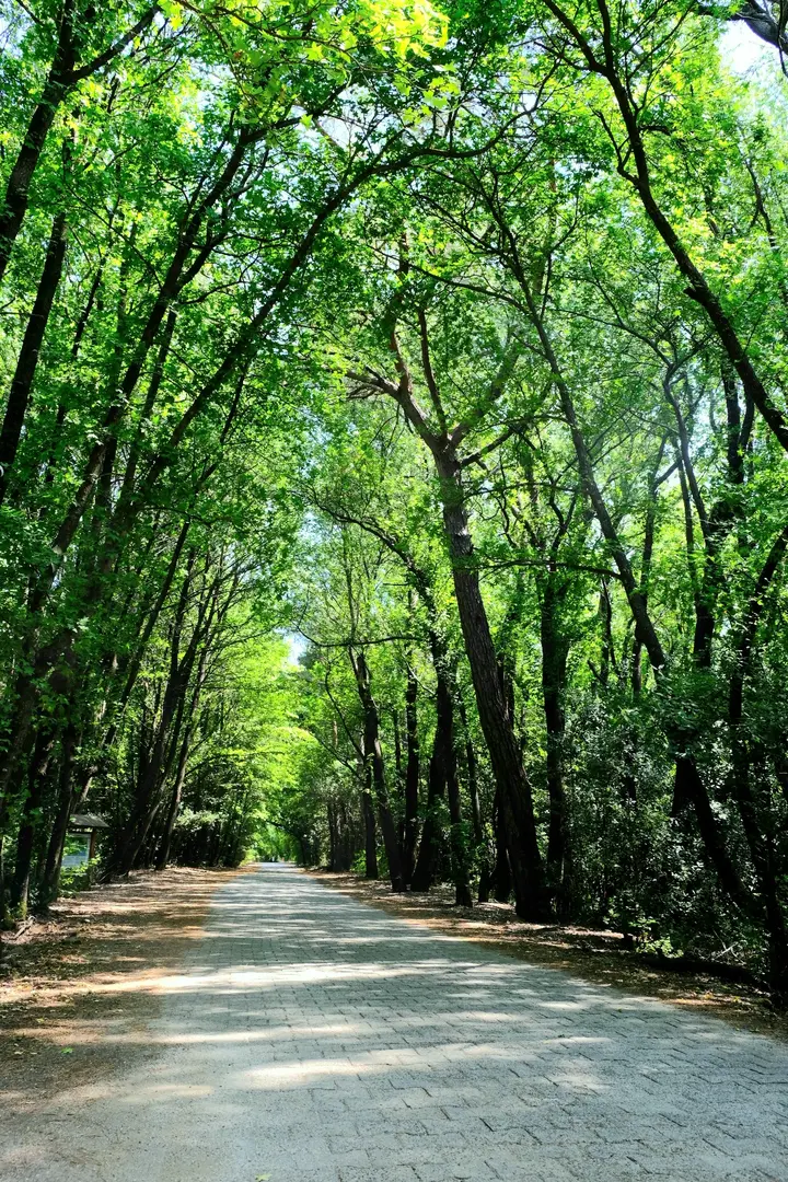 Günniçek (Marmaris Nationalpark) — Muğla — küçük resim 2