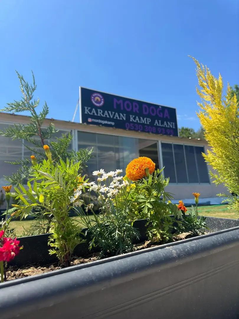 MOR DOĞA KAMP YERİ VE KAFE — İzmir — küçük resim 7