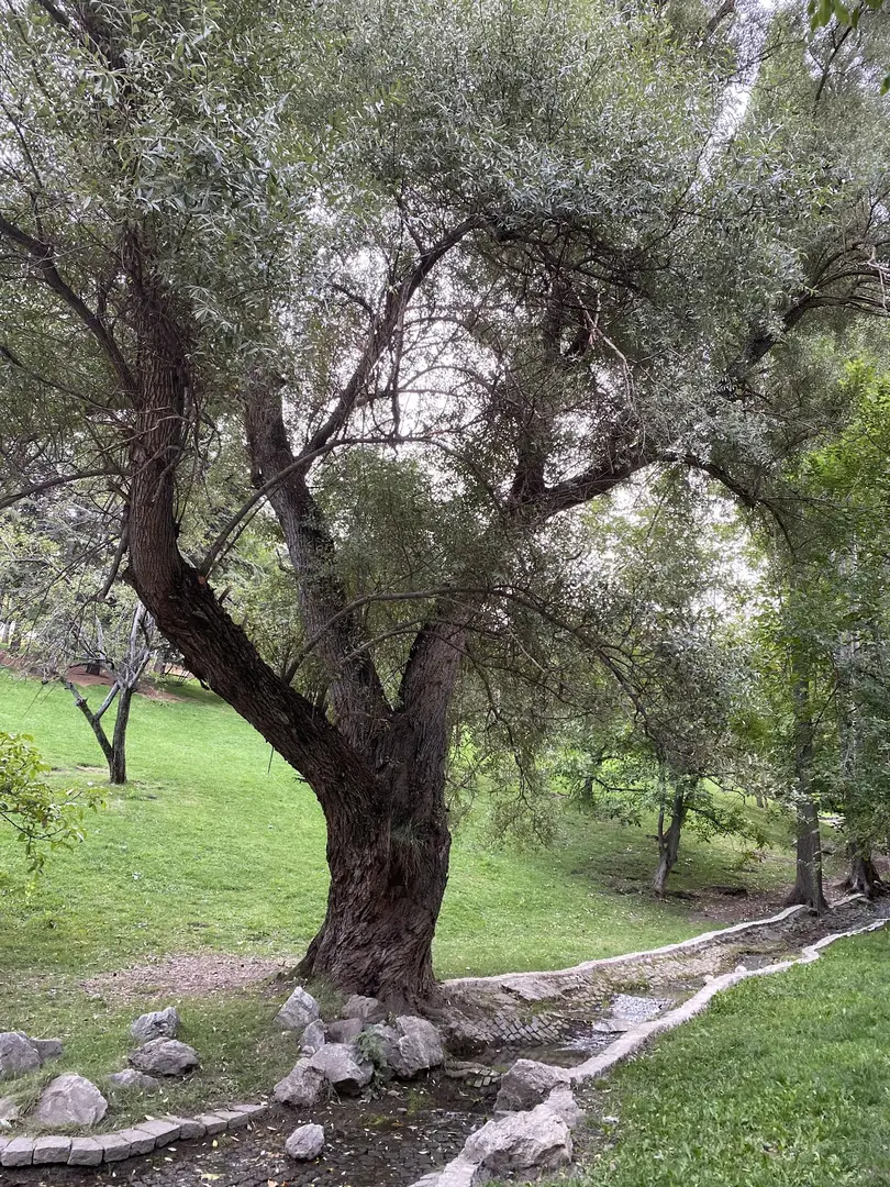 Seğmenler Parkı — Ankara — küçük resim 9