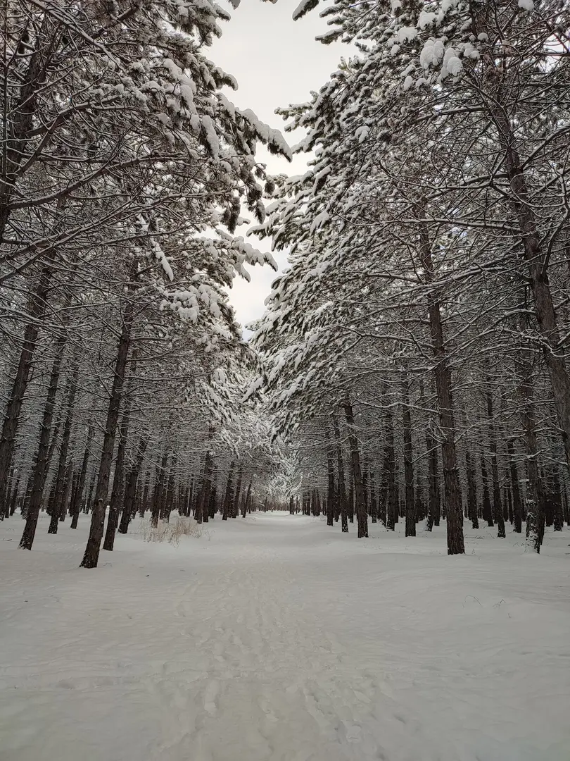 Turkey Women’s Federation Memorial Forest — Ankara — küçük resim 8