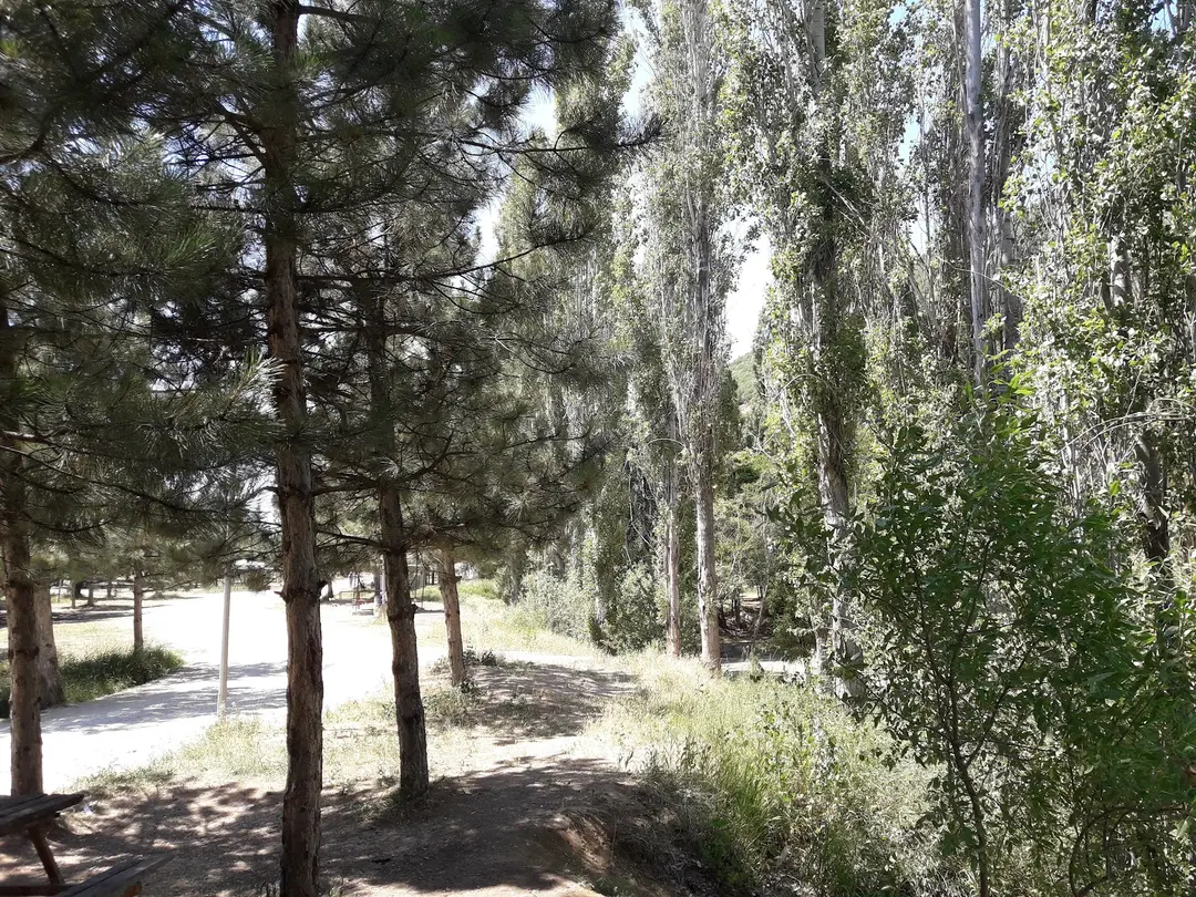 Yeşildere Orman Parkı — Ankara — küçük resim 6