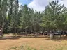 Yeşildere Orman Parkı