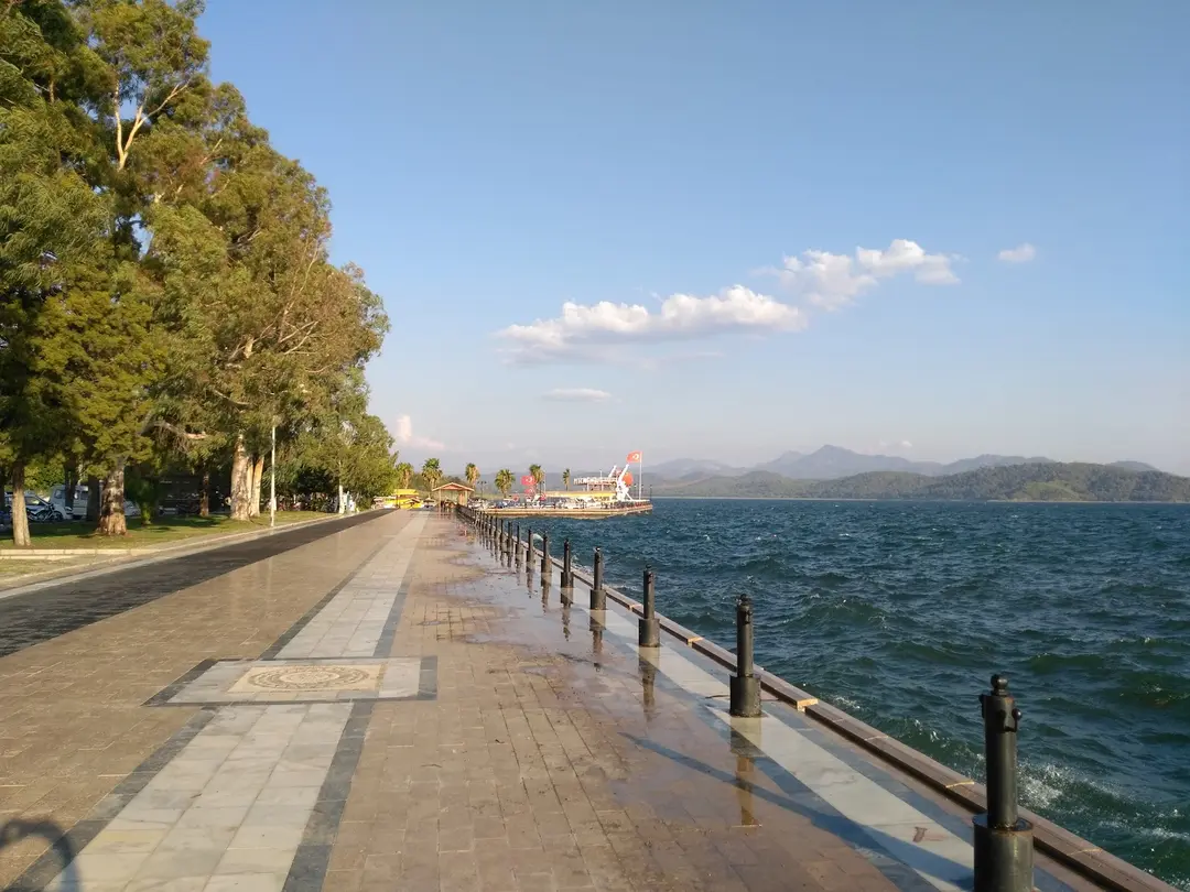 Gülpınar State Forest — Muğla — küçük resim 5