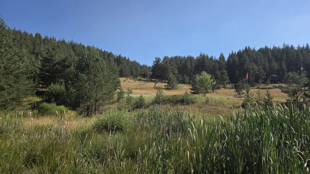 Eğriova Tabiat Parkı — Bolu — küçük resim 6