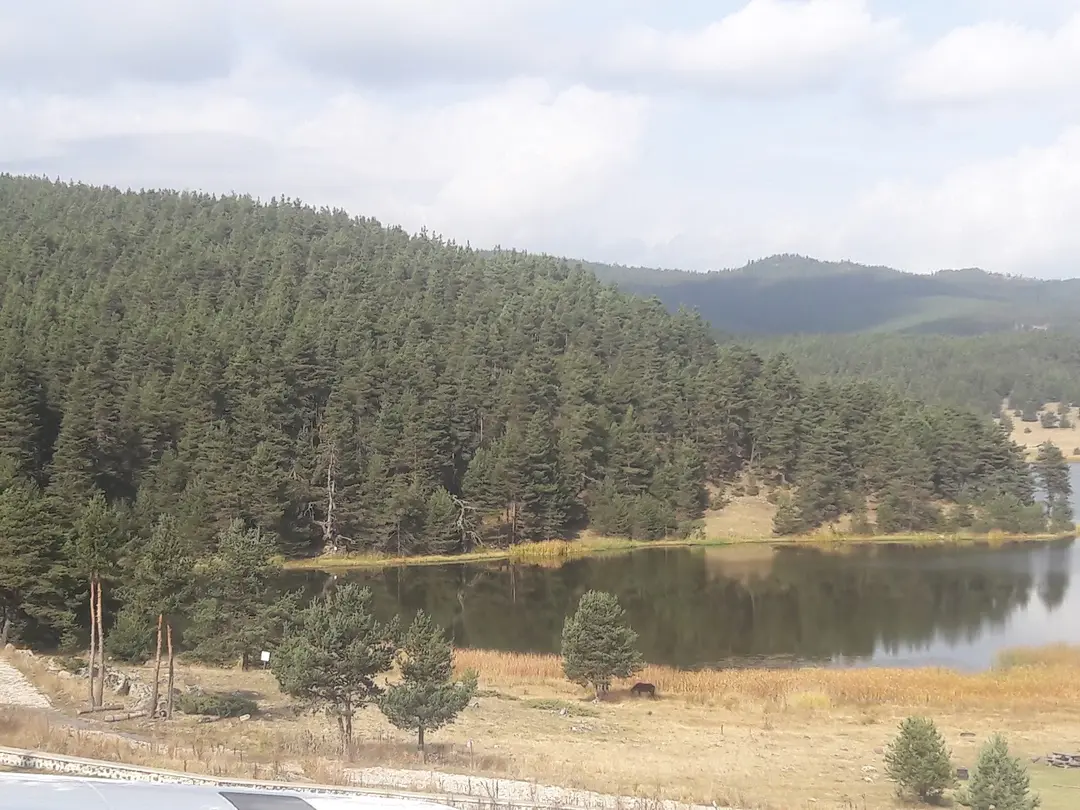 Eğriova Tabiat Parkı — Bolu — küçük resim 5
