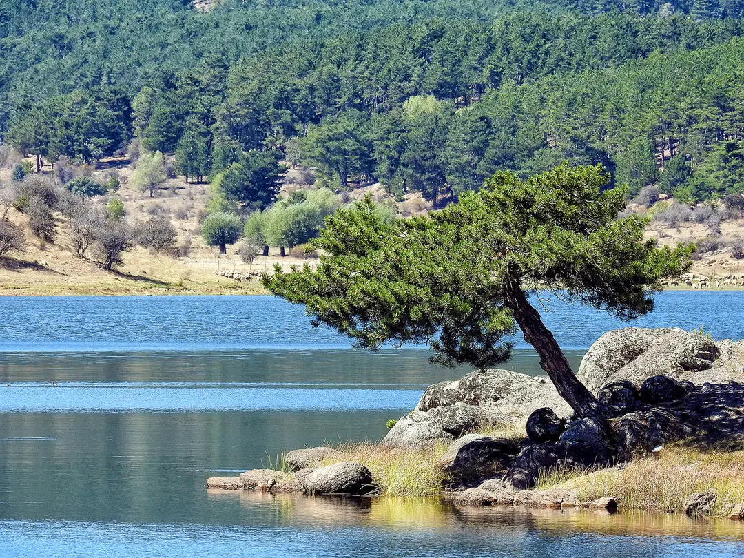 Sorgun Göl Nature Park — Ankara — küçük resim 6