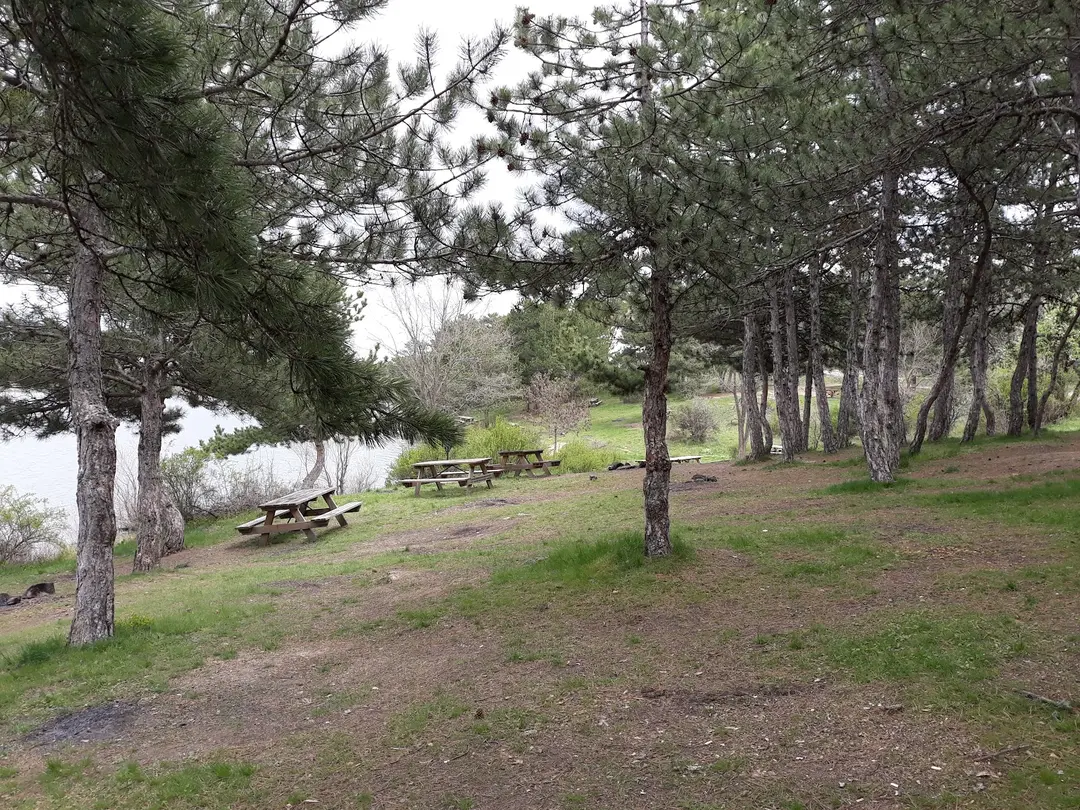 Sorgun Göl Nature Park — Ankara — küçük resim 4