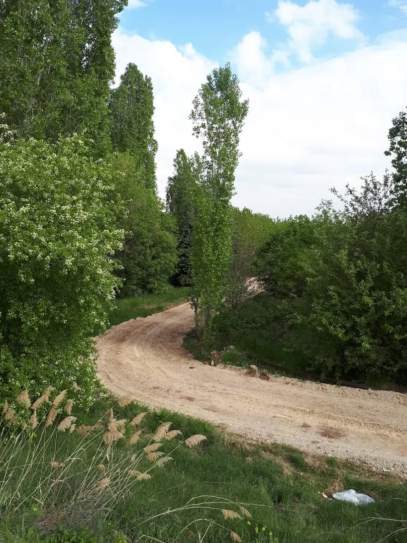 Turkey National Botanical Garden — Ankara — küçük resim 9