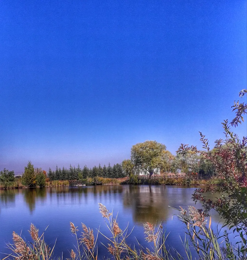 Turkey National Botanical Garden — Ankara — küçük resim 3