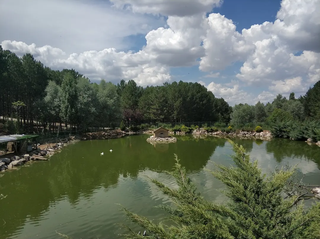 Beytepe Kampüsü Yeşil Vadi
