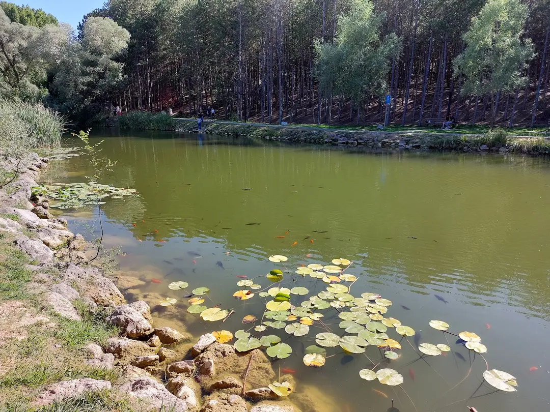 Beytepe Campus Green Valley — Ankara — küçük resim 3