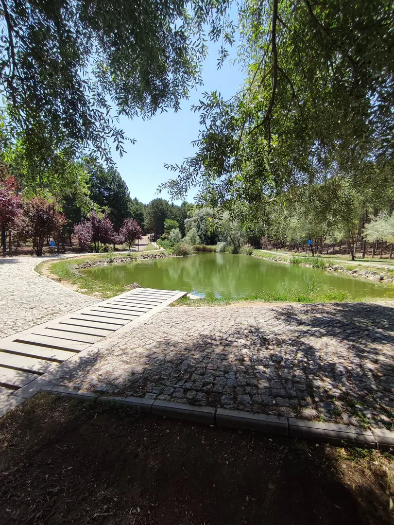 Beytepe Campus Green Valley — Ankara — küçük resim 7