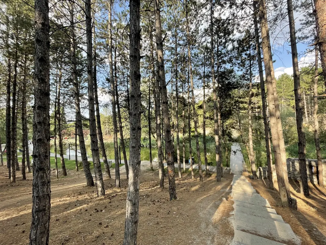 Beytepe Campus Green Valley — Ankara — küçük resim 4