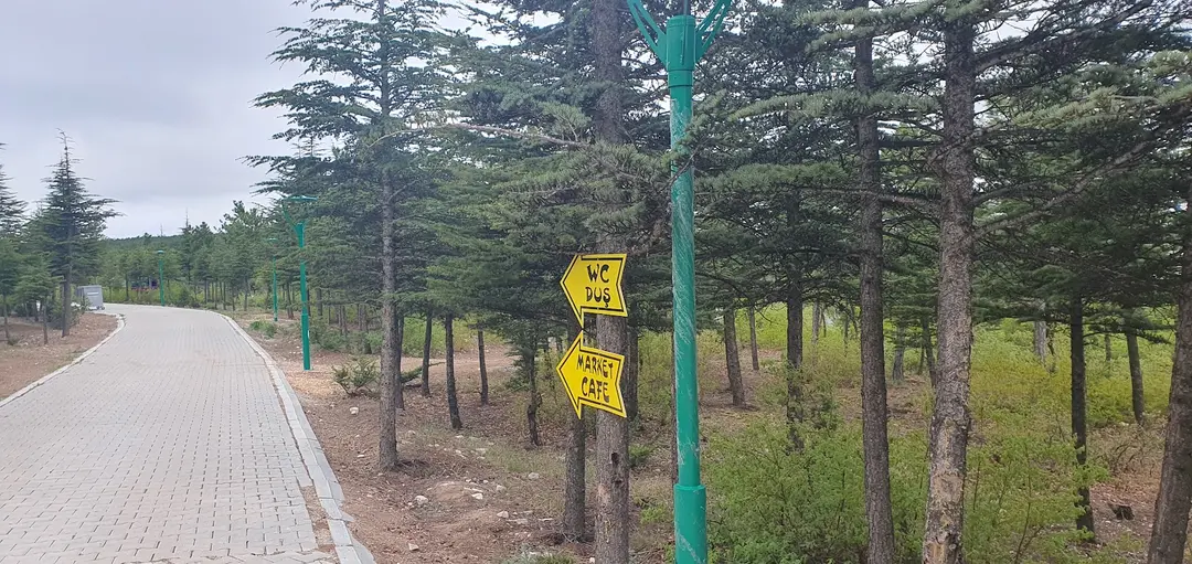 Musaözüsü naturpark campingplass — Eskişehir — küçük resim 7