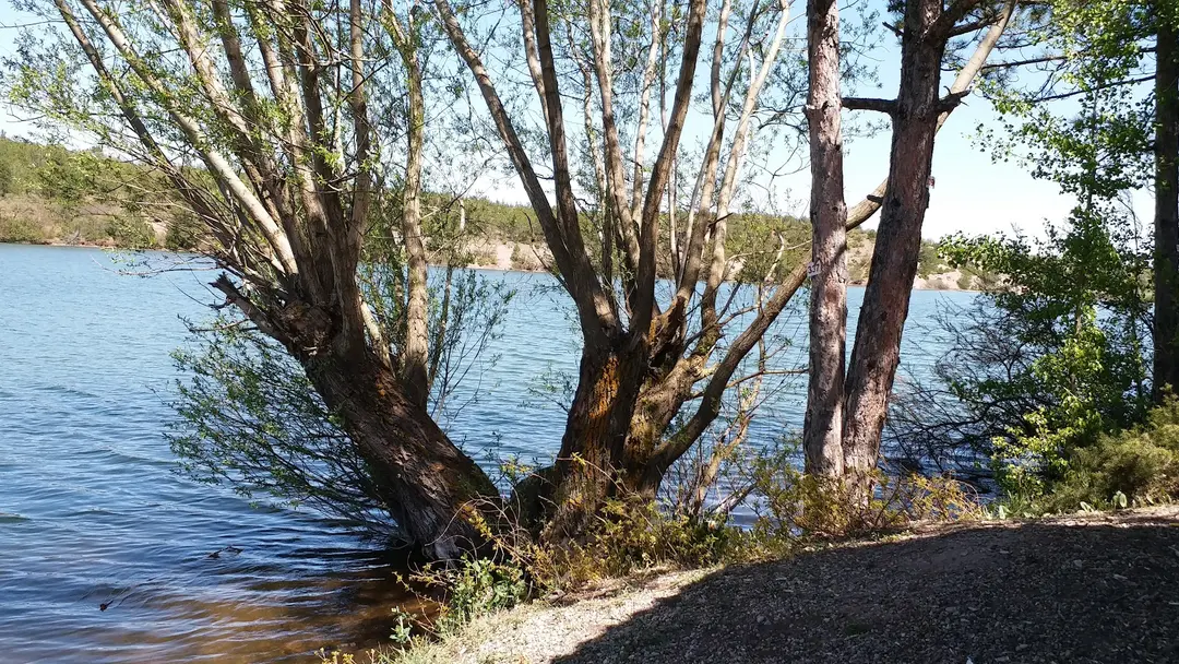 Musaözü Nature Park — Eskişehir — küçük resim 8