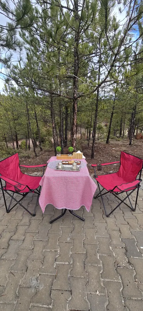 Musaözüsü Karavan Park — Eskişehir — küçük resim 8
