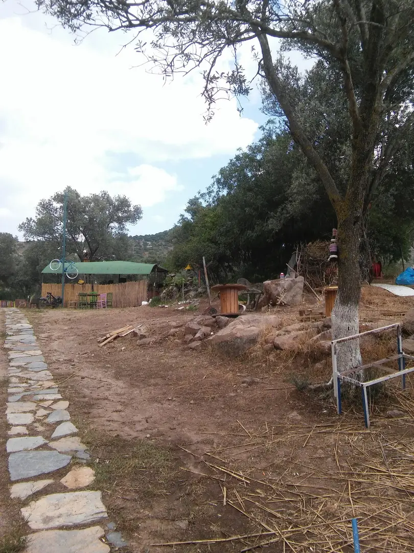 Bodrum Vosvos Kampı & Bora Sencer Sanat Köyü — Muğla — küçük resim 4