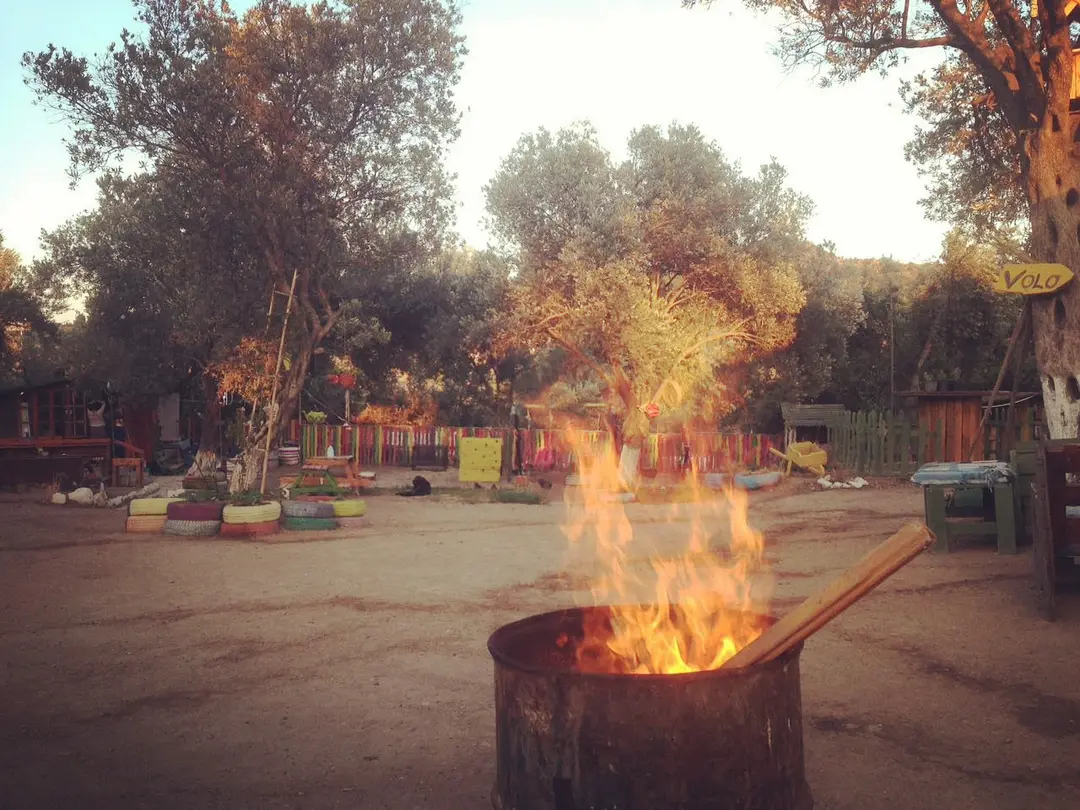 Bodrum Vosvos Kampı & Bora Sencer Sanat Köyü — Muğla — küçük resim 8