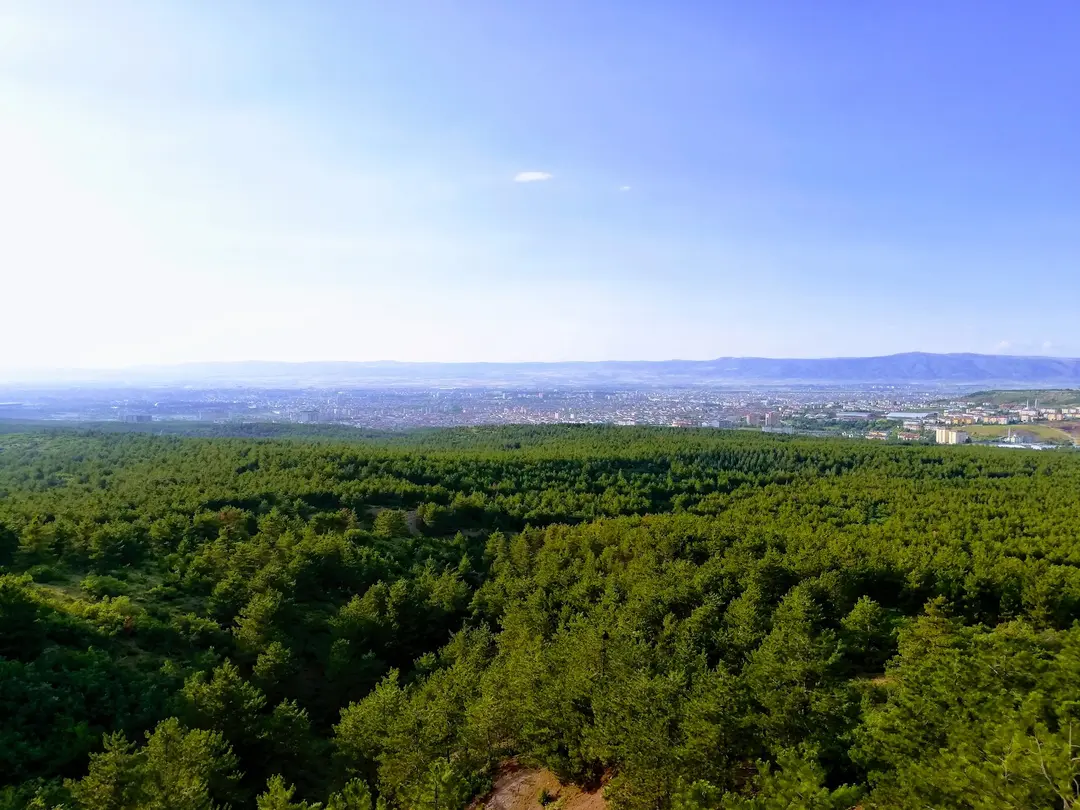 Eskişehir Kent Ormanı — Eskişehir — küçük resim 2