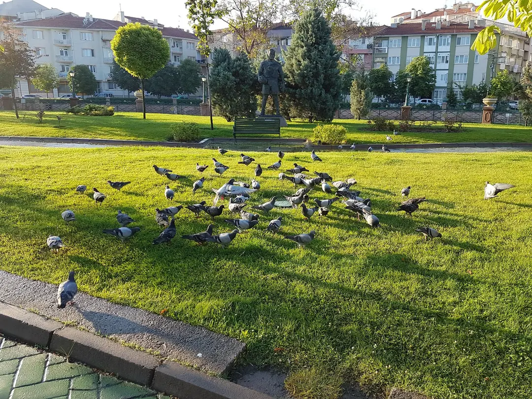 Porsuk Çayı Kirmizi Toprak Mah. — Eskişehir — küçük resim 9