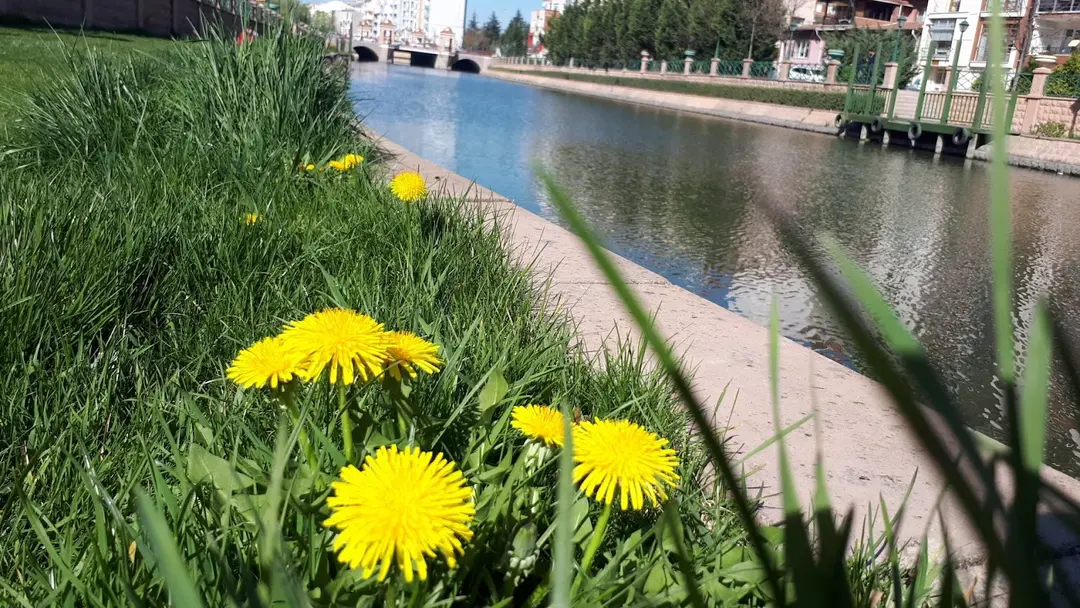 Porsuk Çayı Kirmizi Toprak Mah. — Eskişehir — küçük resim 8