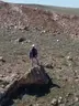 Kanlıpınar Şehitliği Ormanı