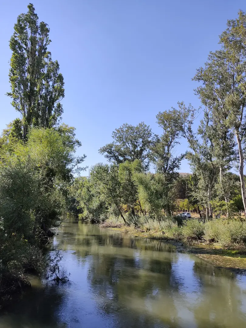 Eskişehir Orman Fidanlığı — Eskişehir — küçük resim 4